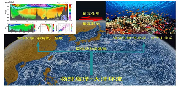 海洋生物地球化學,海洋環境監測與分析,海洋生態學(全英文),環境水質